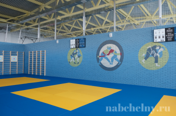Новая школа № 42 Спортивный зал, бассейн, зоны рекреации
