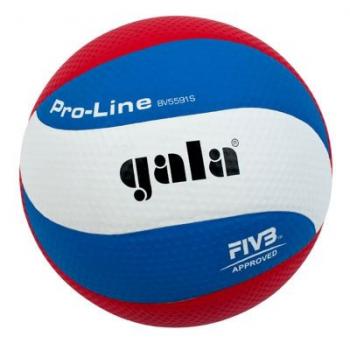 Мяч волейбольный Gala Pro-Line FIVB, арт. BV5591S